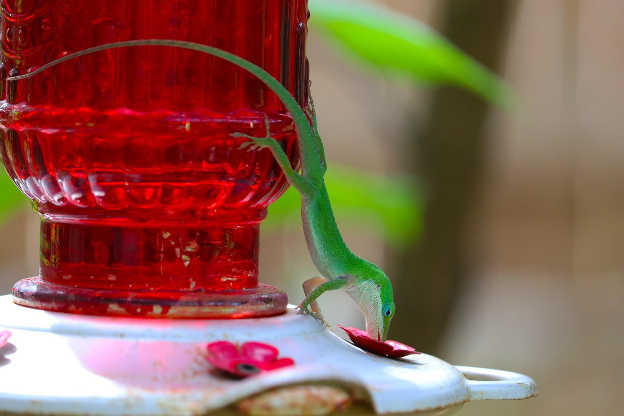 How Human Behavior Impacts Safety Standards and Measures